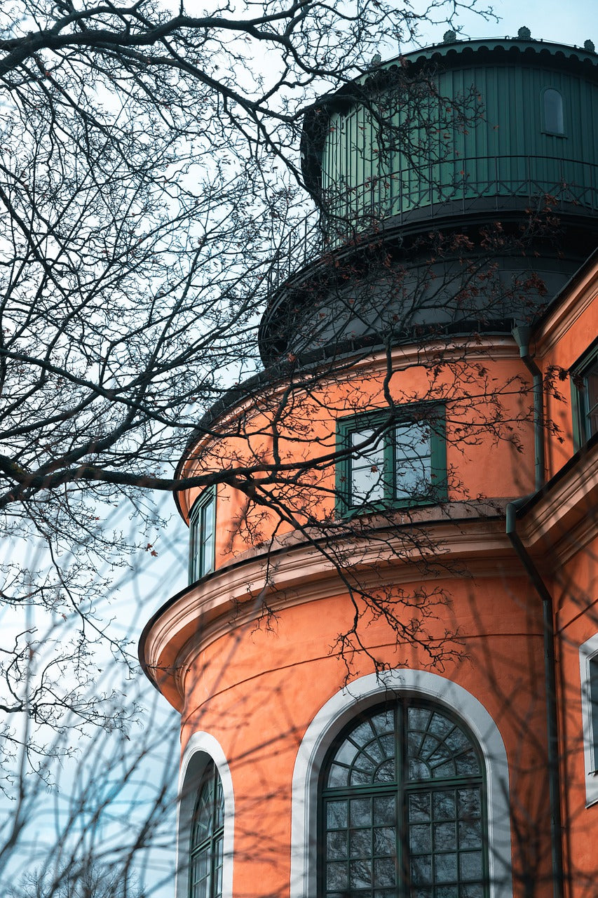 adventure, animal, beautiful-7721319.jpg