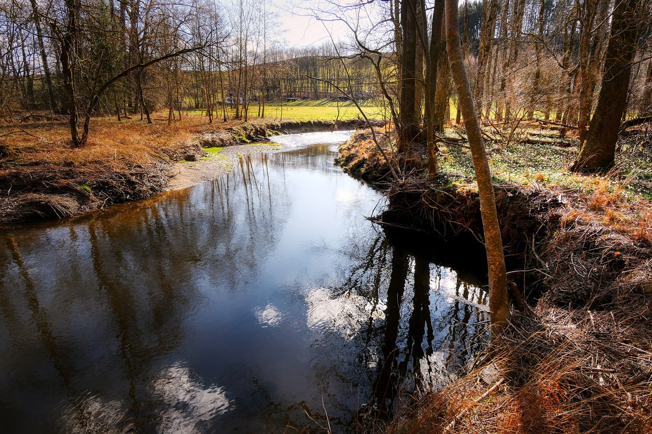 bach, stream, sinuous-4900026.jpg