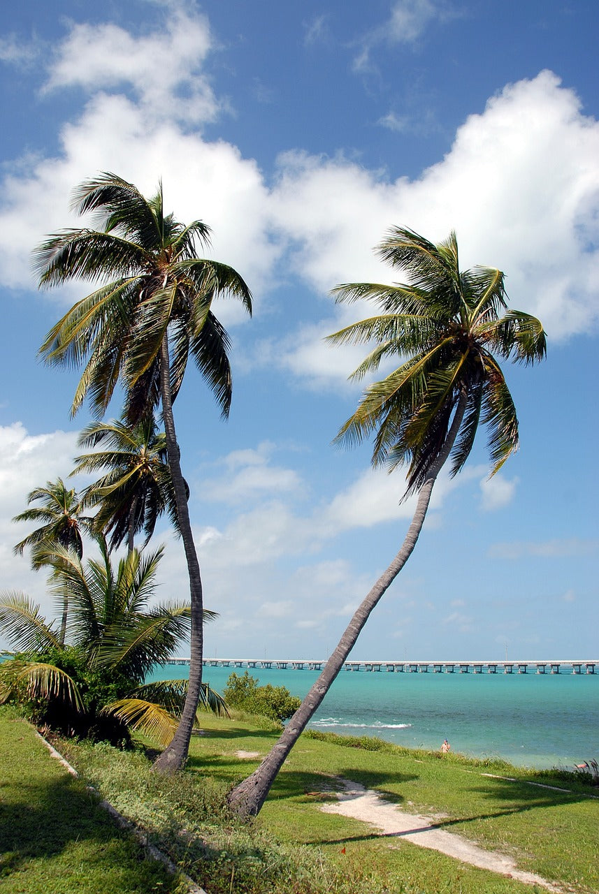 bahia honda state park, florida keys, seven mile bridge-1884367.jpg