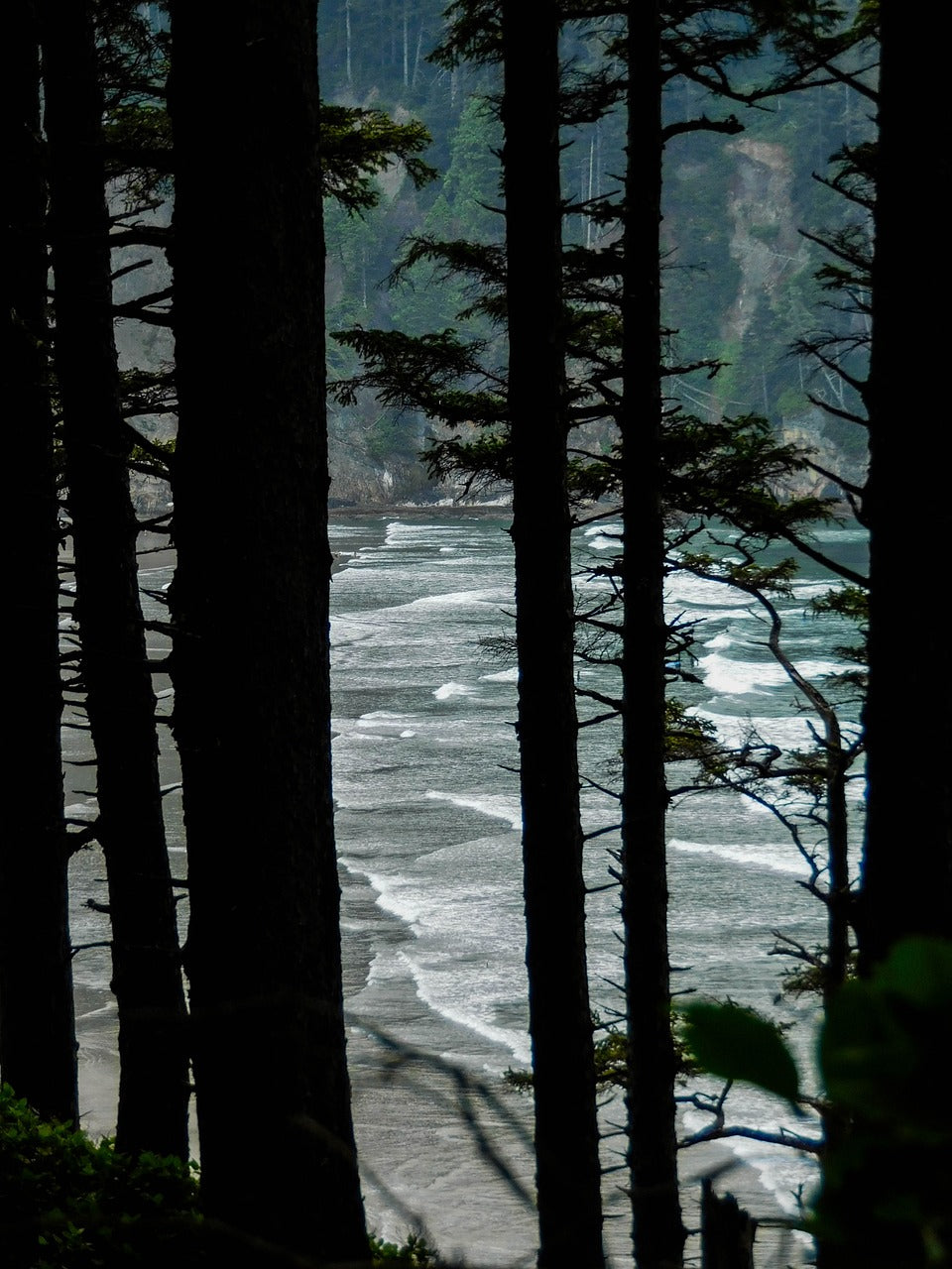 beach, ocean, oregon-3663824.jpg
