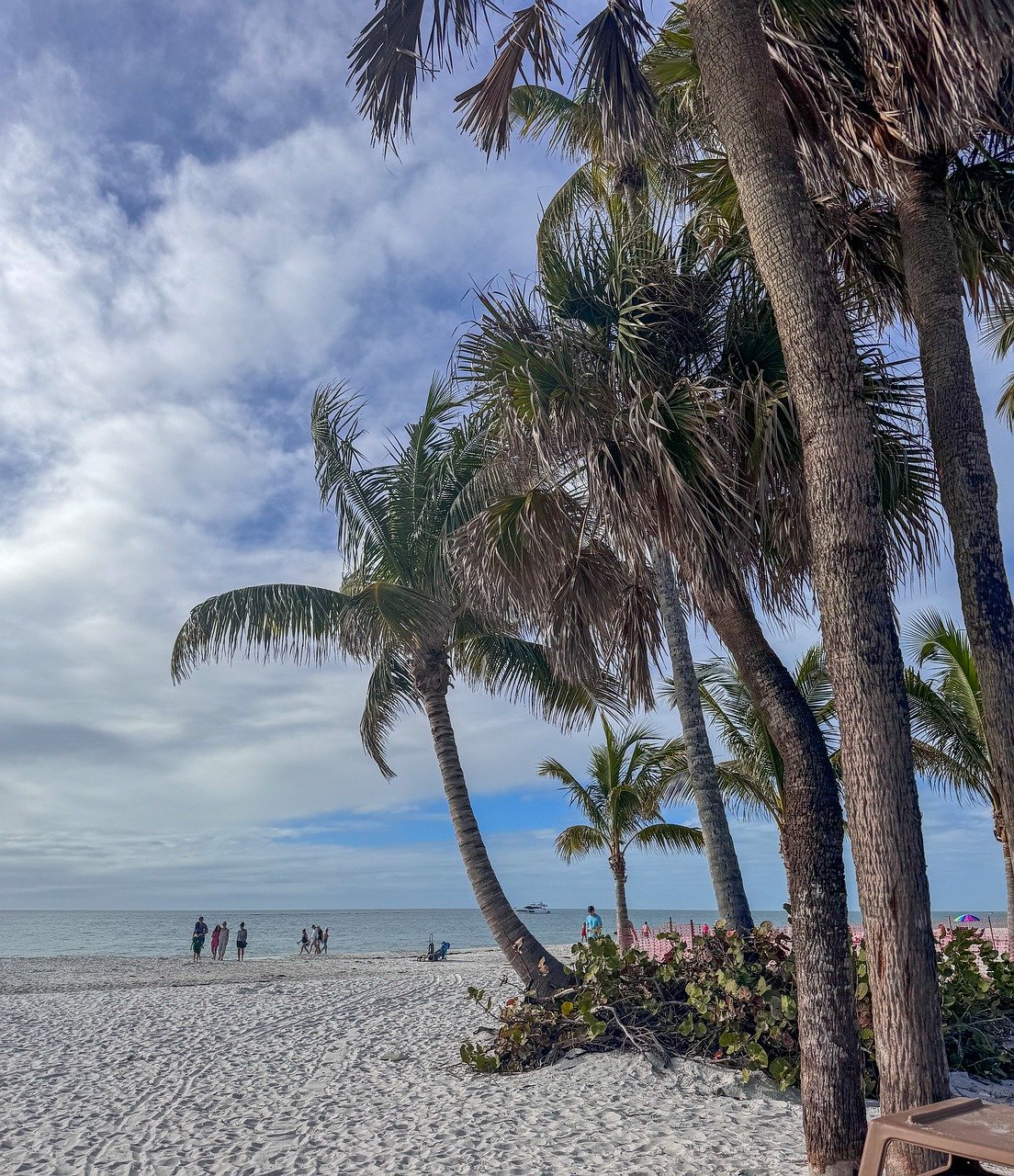 beach, palm trees, tropical-8575982.jpg