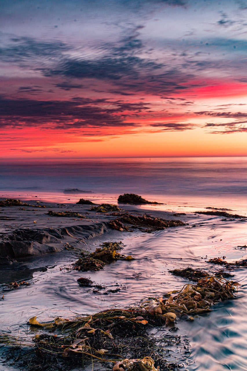 beach, sunset, california-4766019.jpg