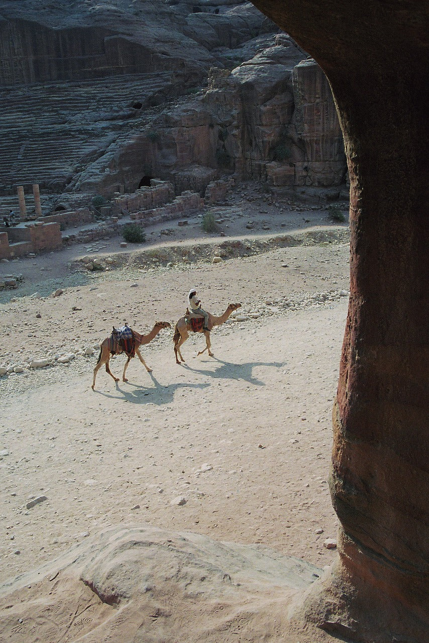 bedouin, dromedaries, stadium-174017.jpg
