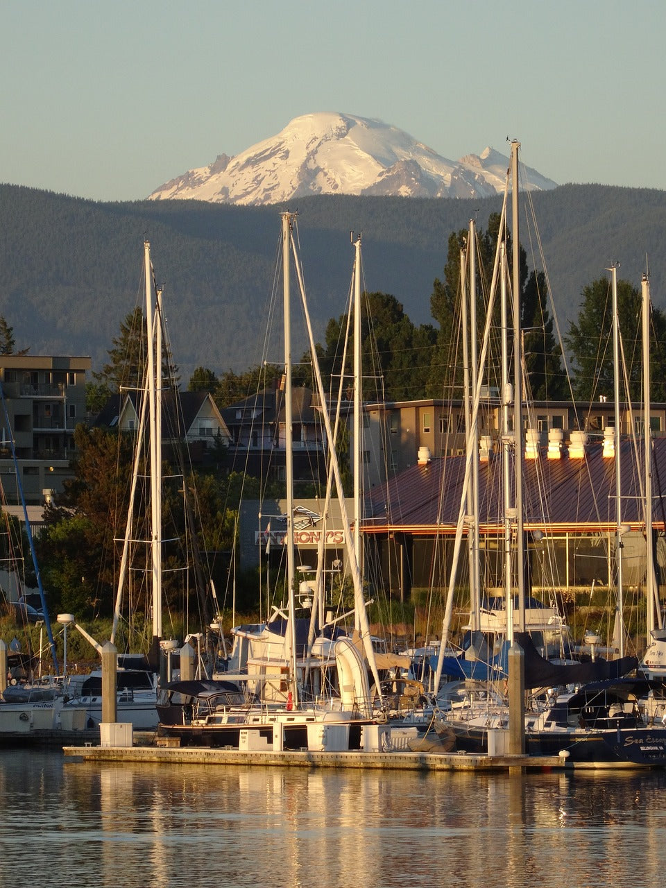 bellingham, mountain, harbor-4282804.jpg