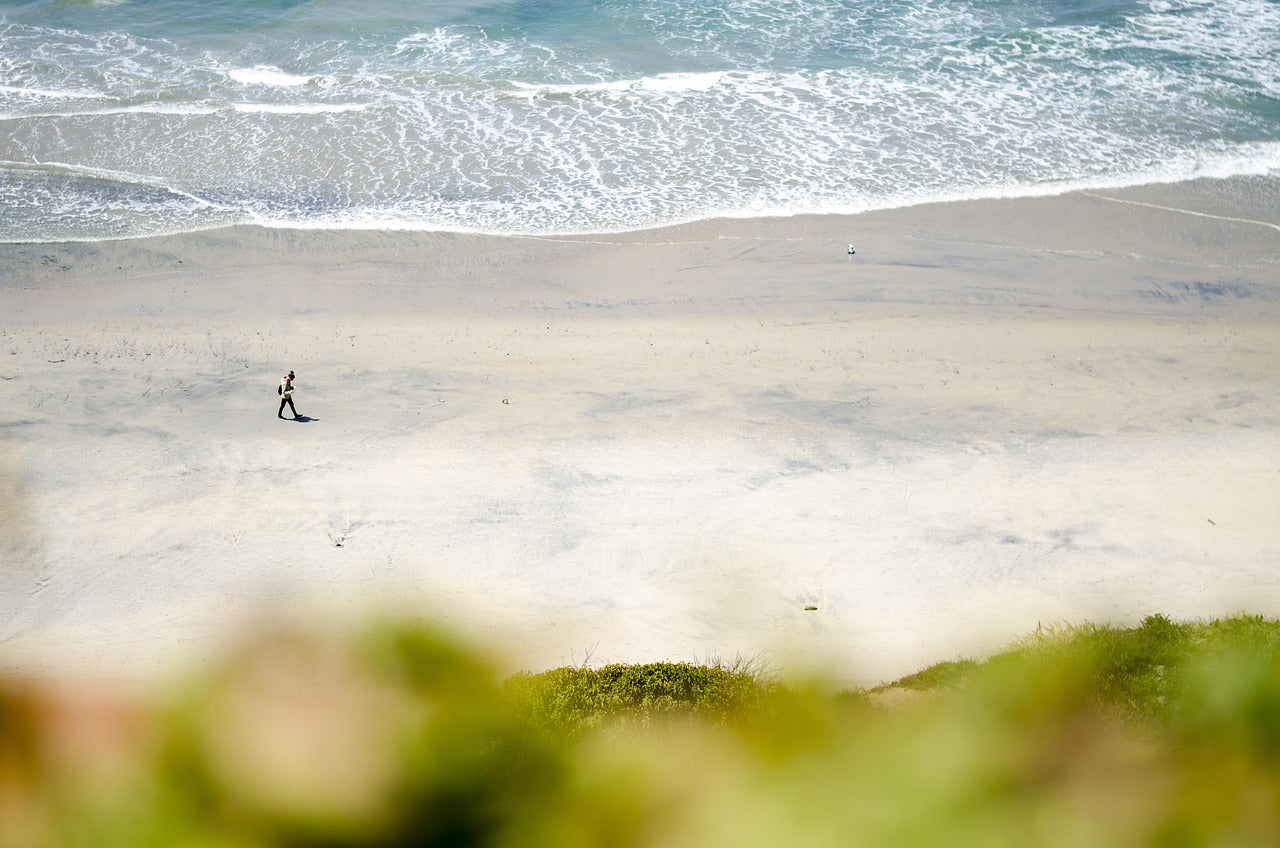 california, beach, san diego-2777088.jpg