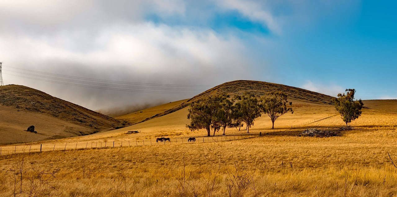 california, landscape, scenic-1597695.jpg