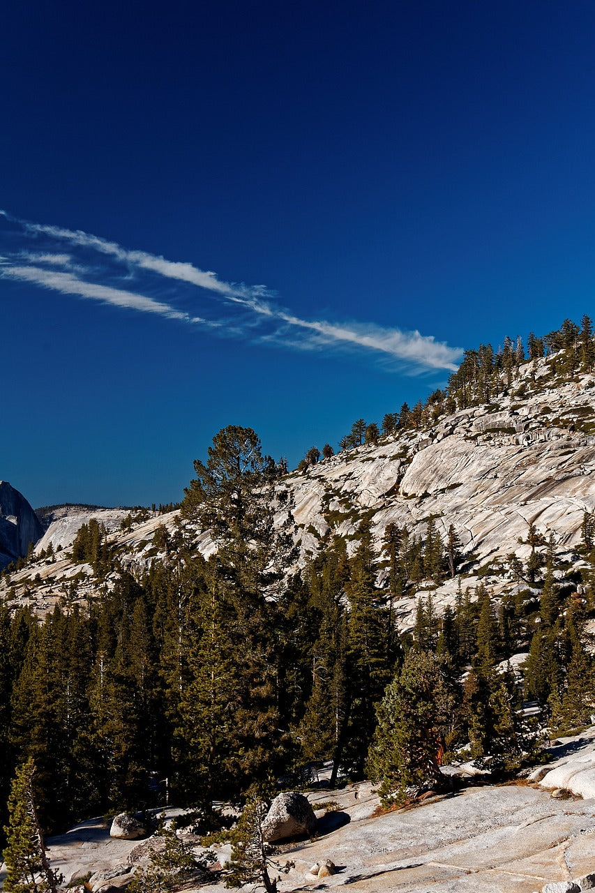 california, national park, usa-2601015.jpg