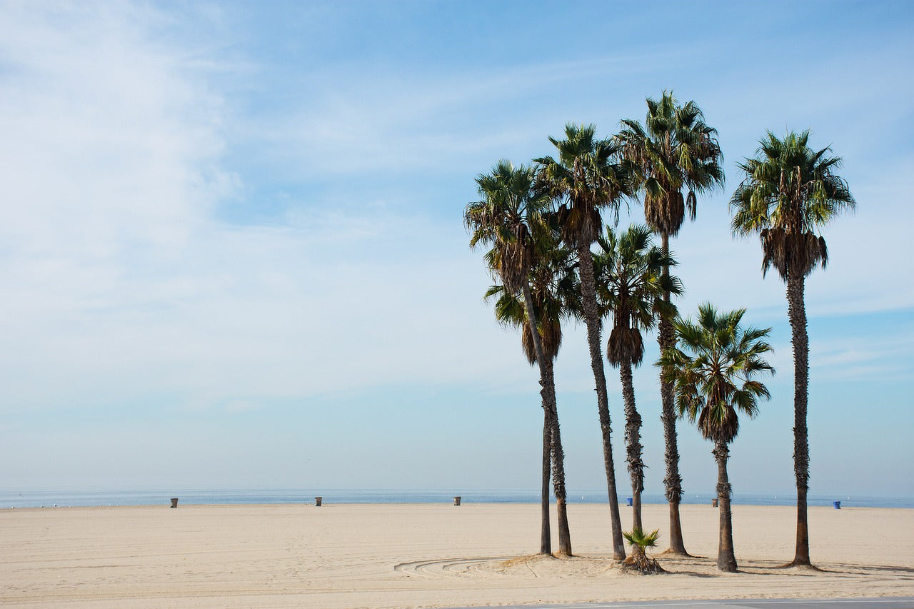 california, santa monica, beach-4601314.jpg