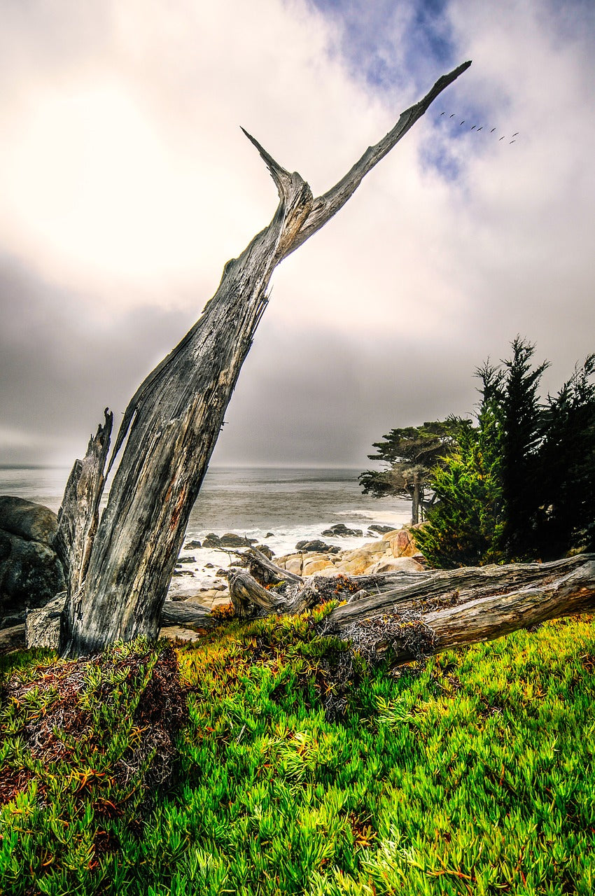 carmel, big sur, island-6713278.jpg