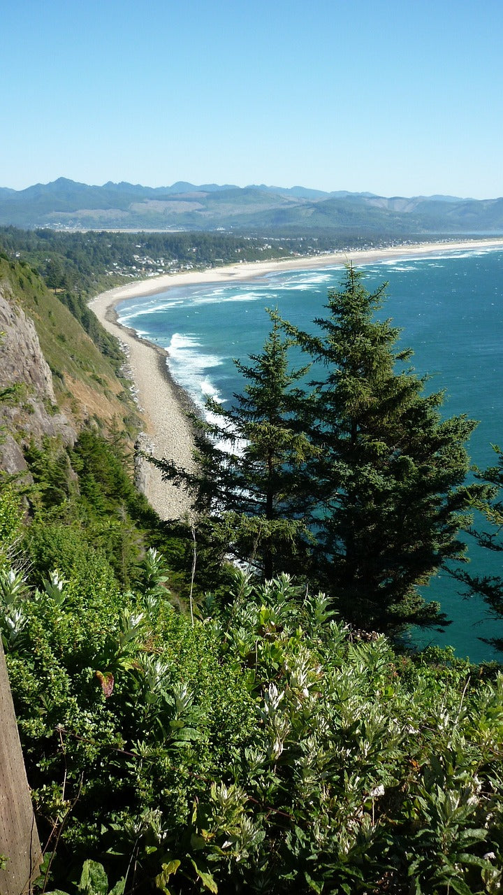 coast, nature, ocean-195534.jpg