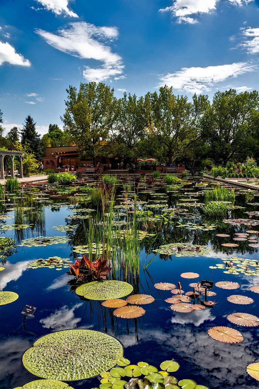 denver, colorado, botanic gardens-1676476.jpg
