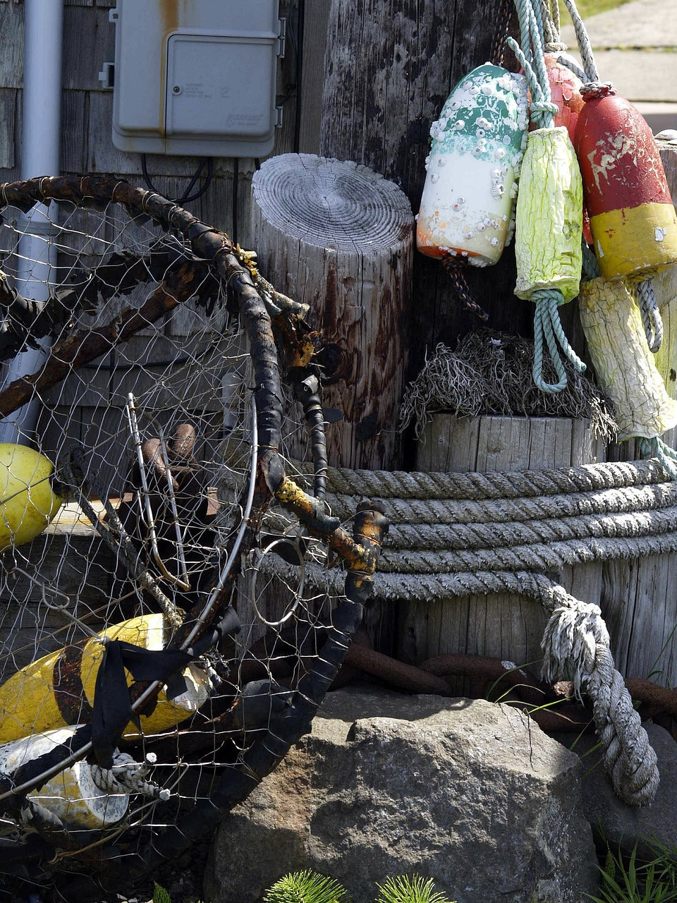 fishing, catch, tools-50213.jpg