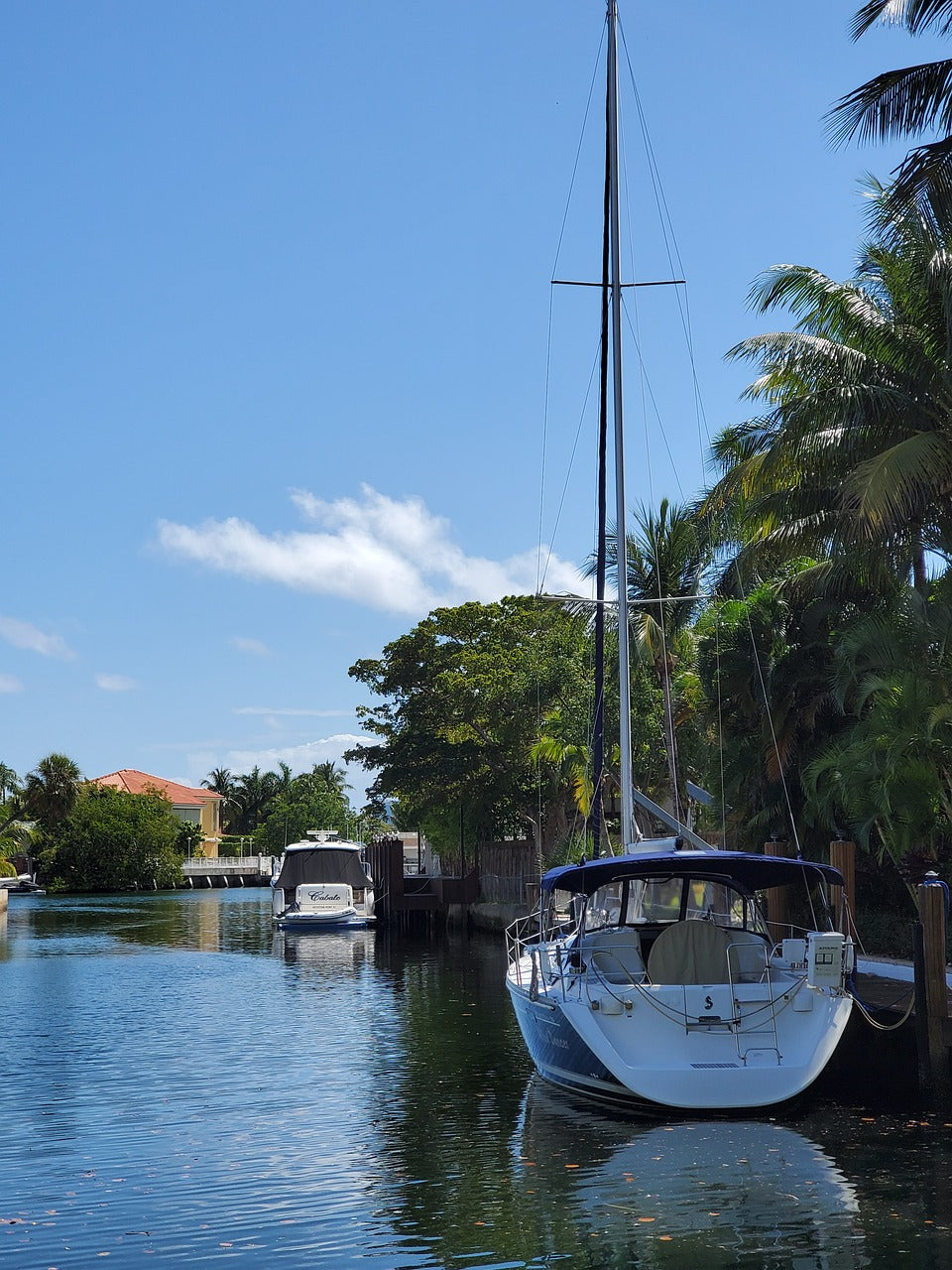 florida, boat, caribbean-4957678.jpg