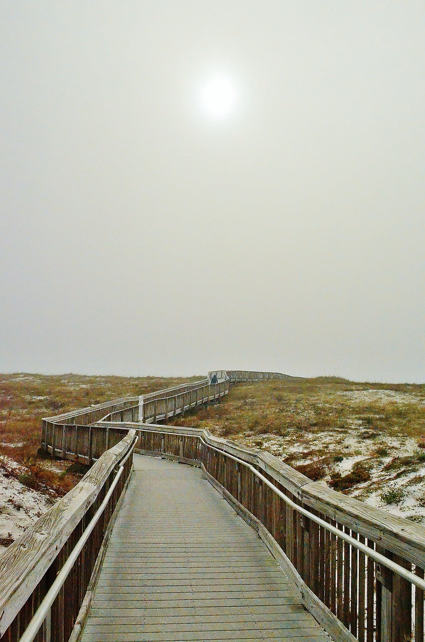 florida, usa, gulf coast-5007557.jpg