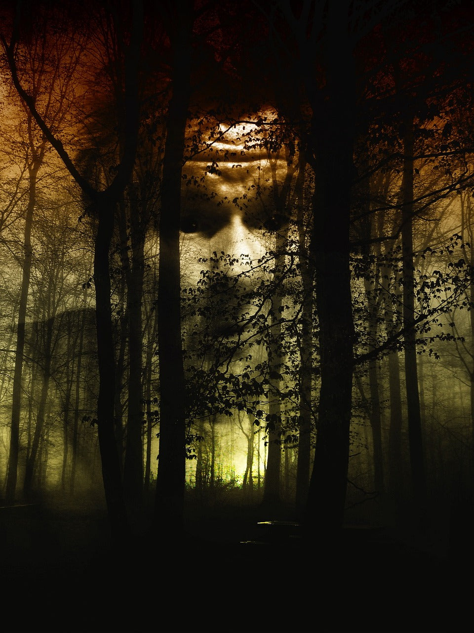 forest, face, fog-66291.jpg