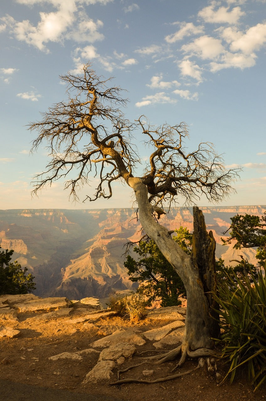 grand canyon, arizona, usa-1641428.jpg
