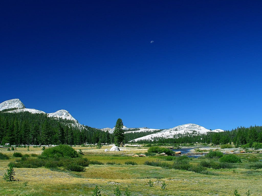 grasslands, yosemite, valley-3772.jpg