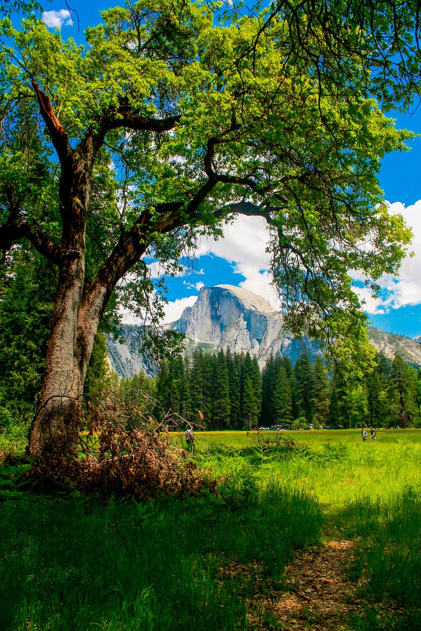 half dome, yosemite, california-2407921.jpg