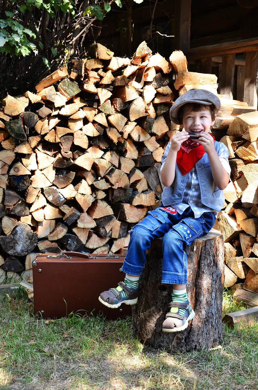 harmonica, boy, kids-4577786.jpg