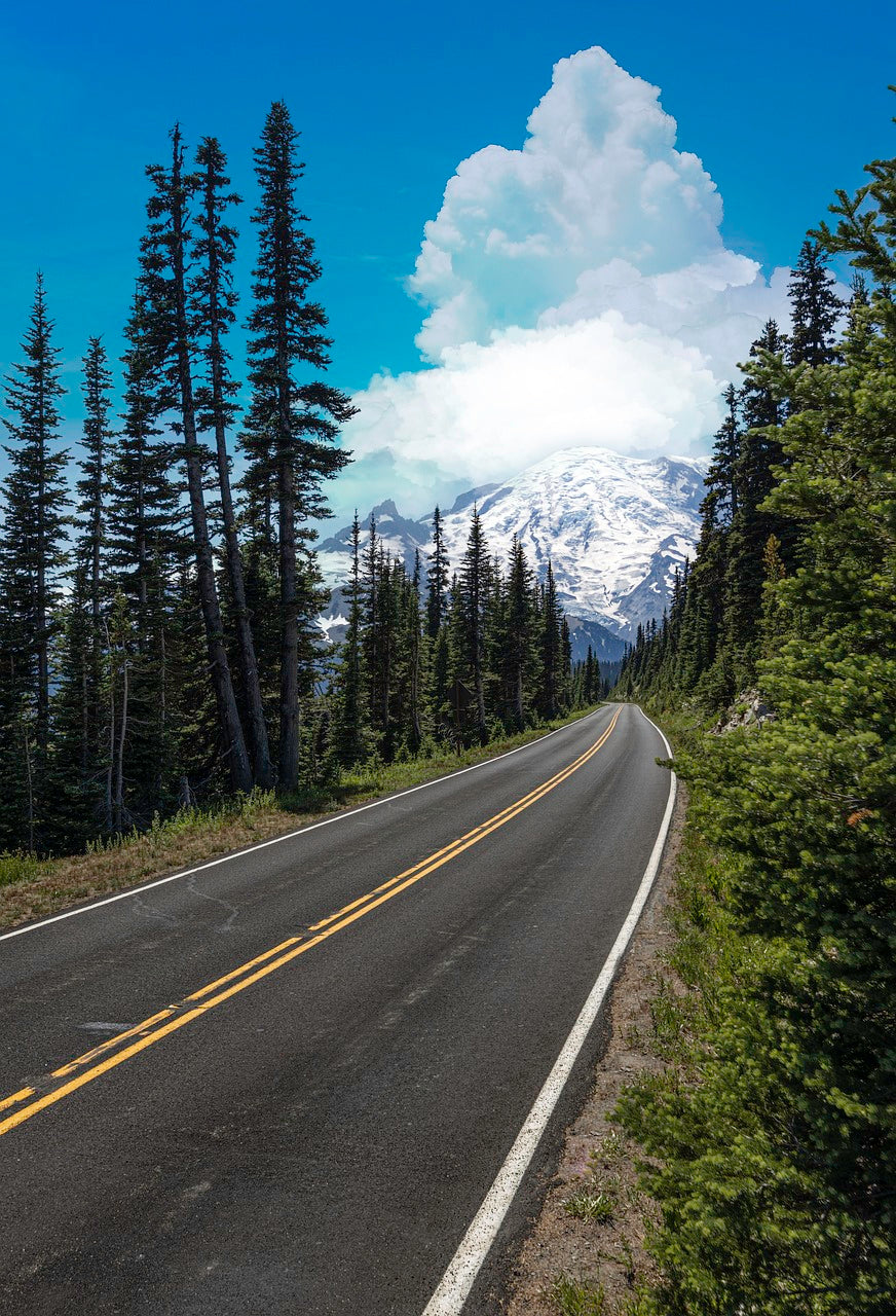 highway, washington state, pacific northwest-6600709.jpg