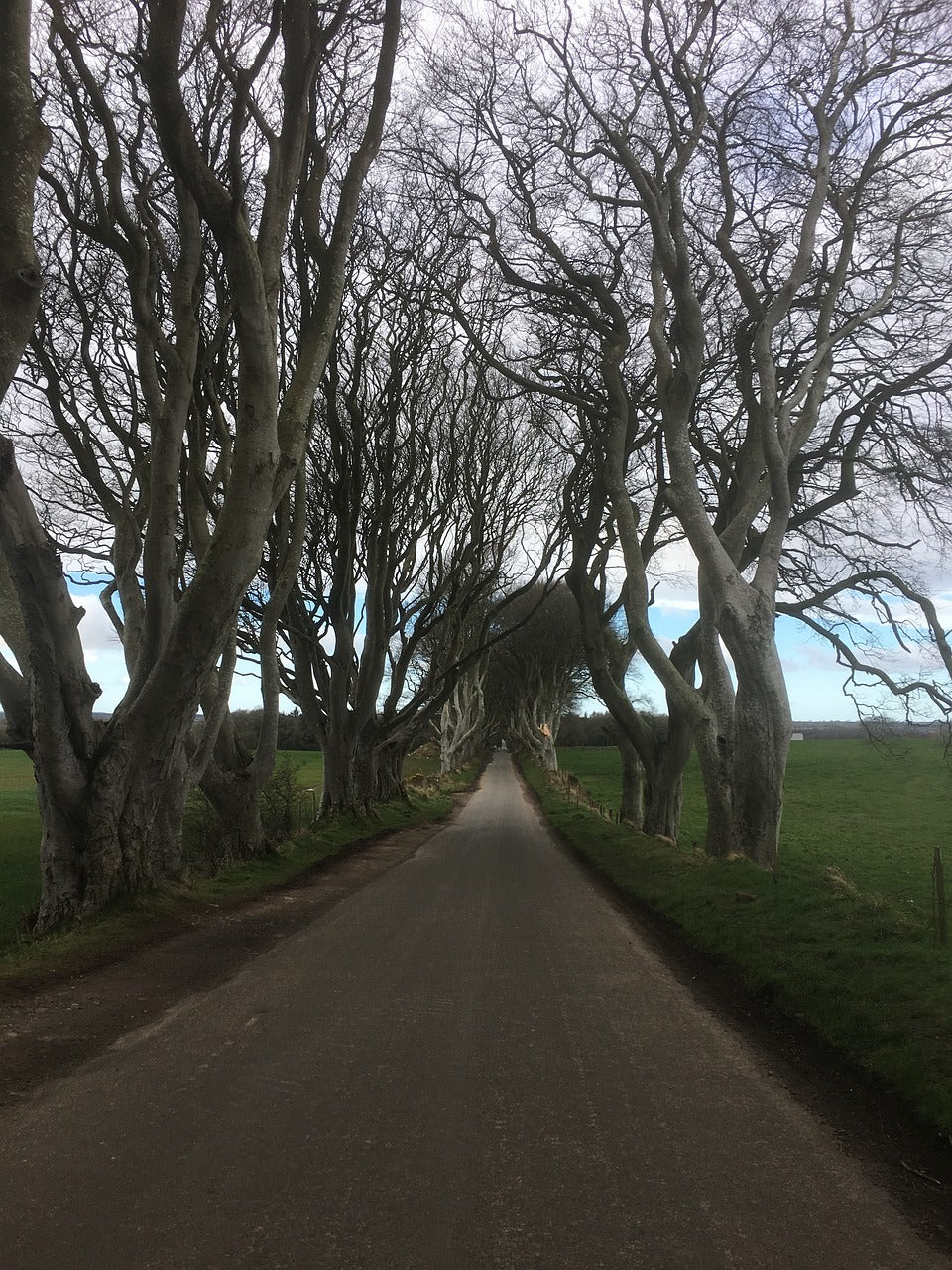 ireland, the dark hedges, game of thrones series-2811211.jpg