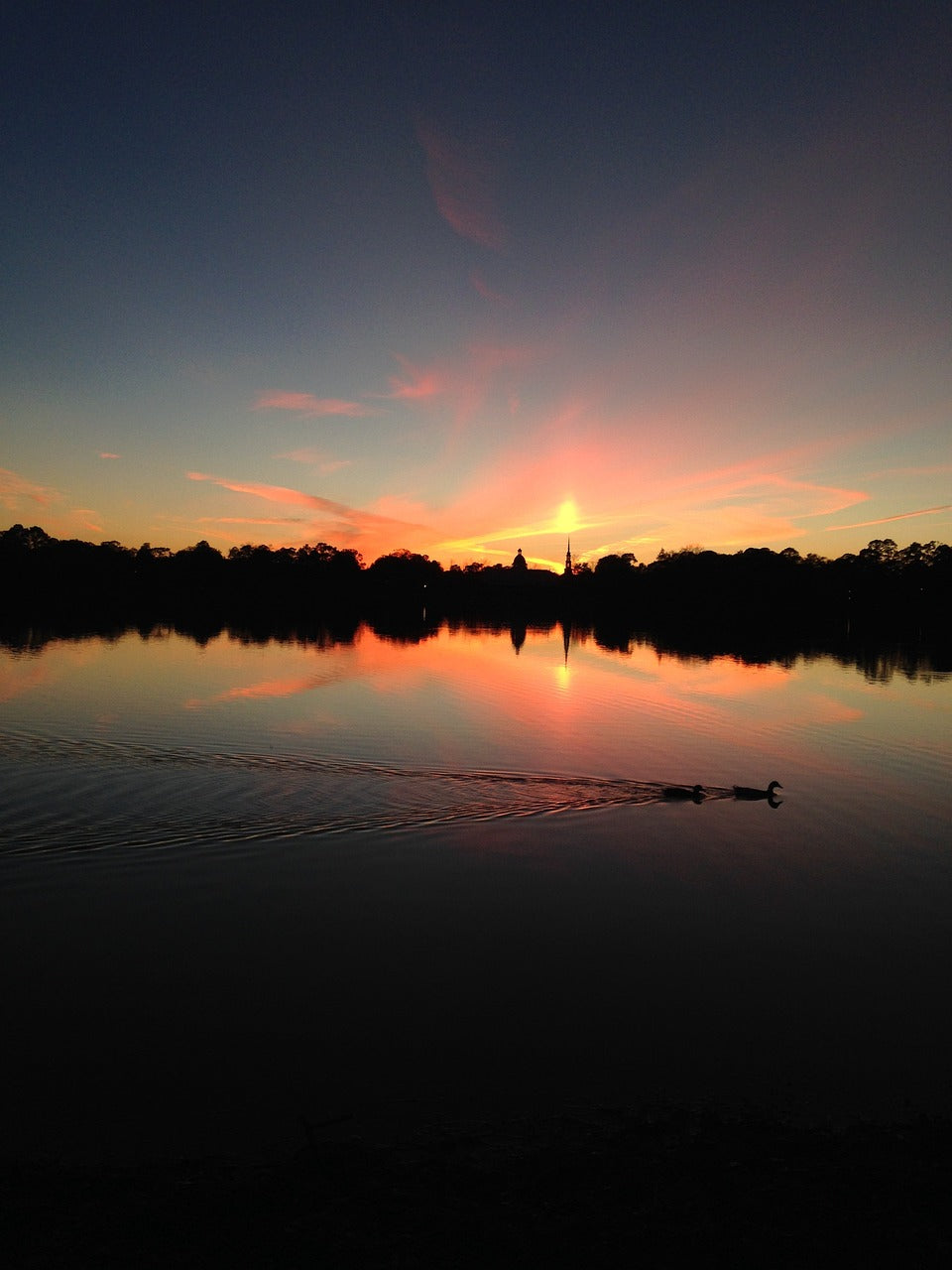 lake, sunset, florida-4728453.jpg