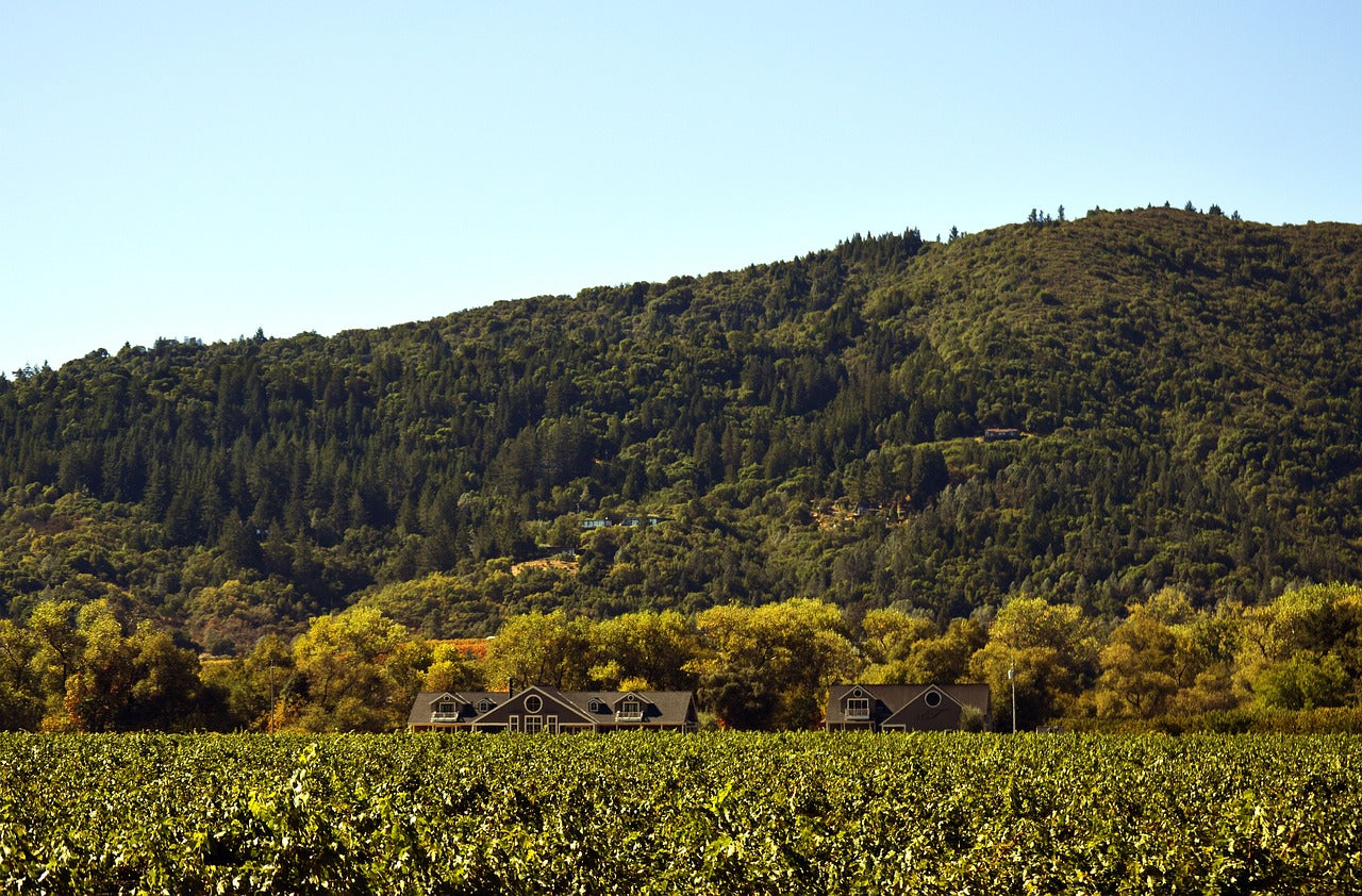 landscape, hill, nature-3204864.jpg
