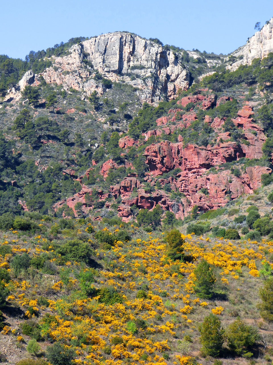 landscape, priorat, red sandstone-2160064.jpg