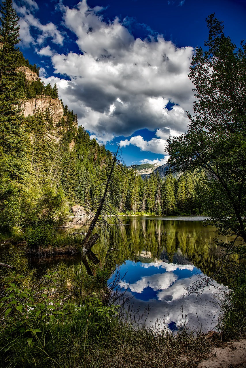 lizard lake, colorado, reflections-1677108.jpg