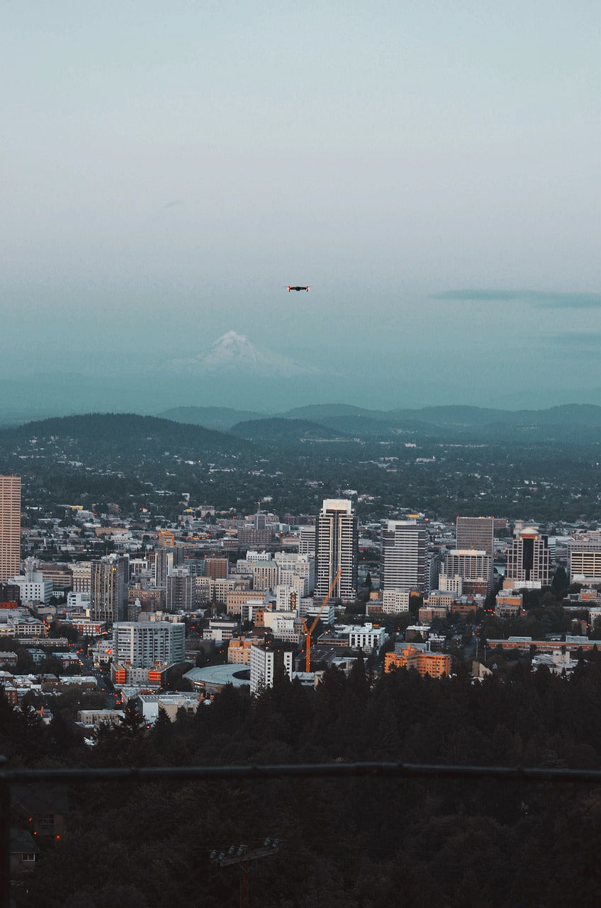 los angeles, city, panorama-5425177.jpg