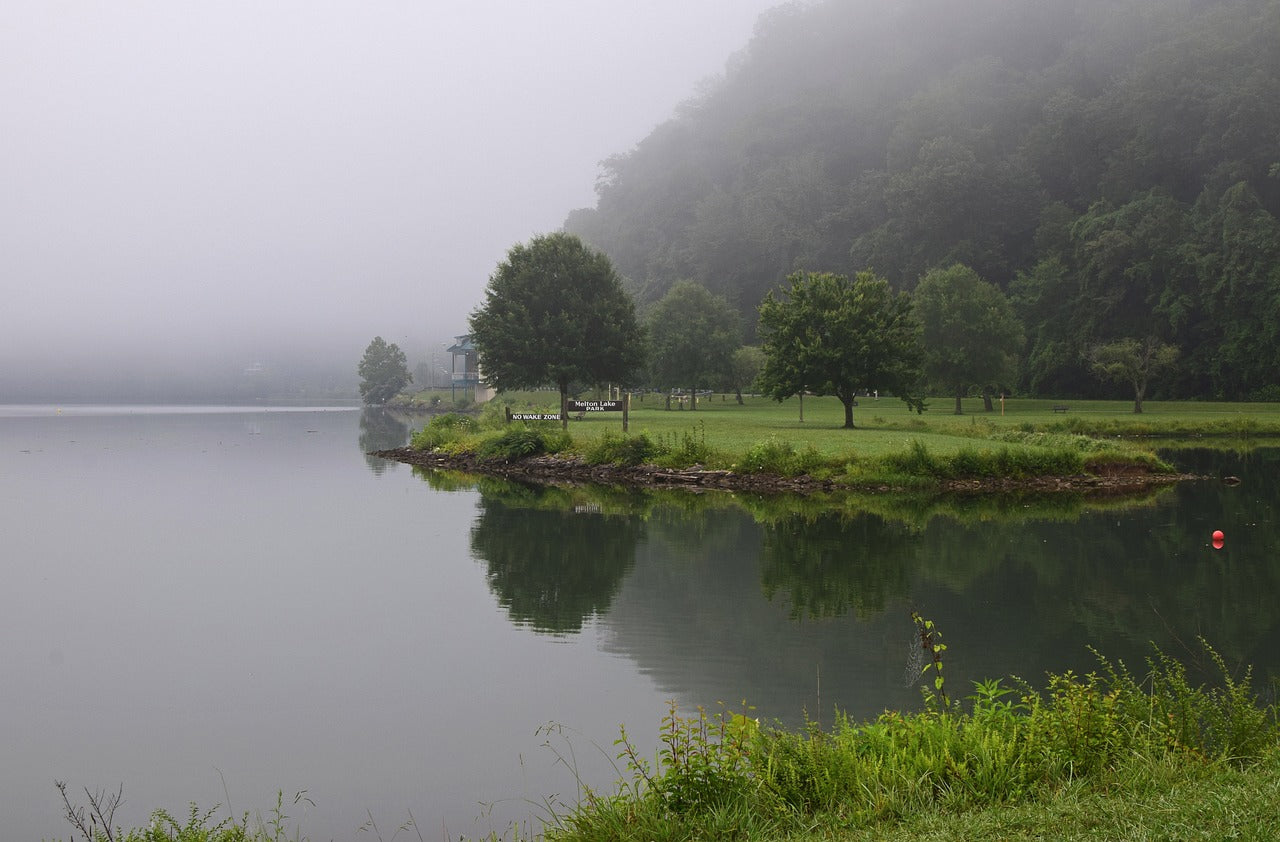 melton lake park in the fog, melton lake park, tennessee-2476264.jpg