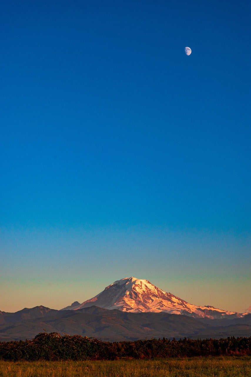 mount rainier, washington, nature-4363768.jpg