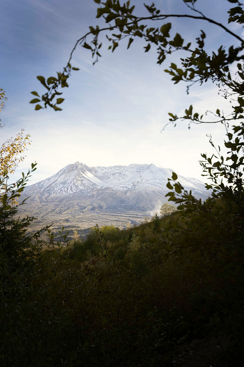 mountain, mount saint helens, nature-6792385.jpg