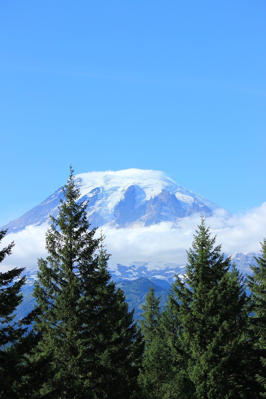 mountain, mt, rainier-1145712.jpg