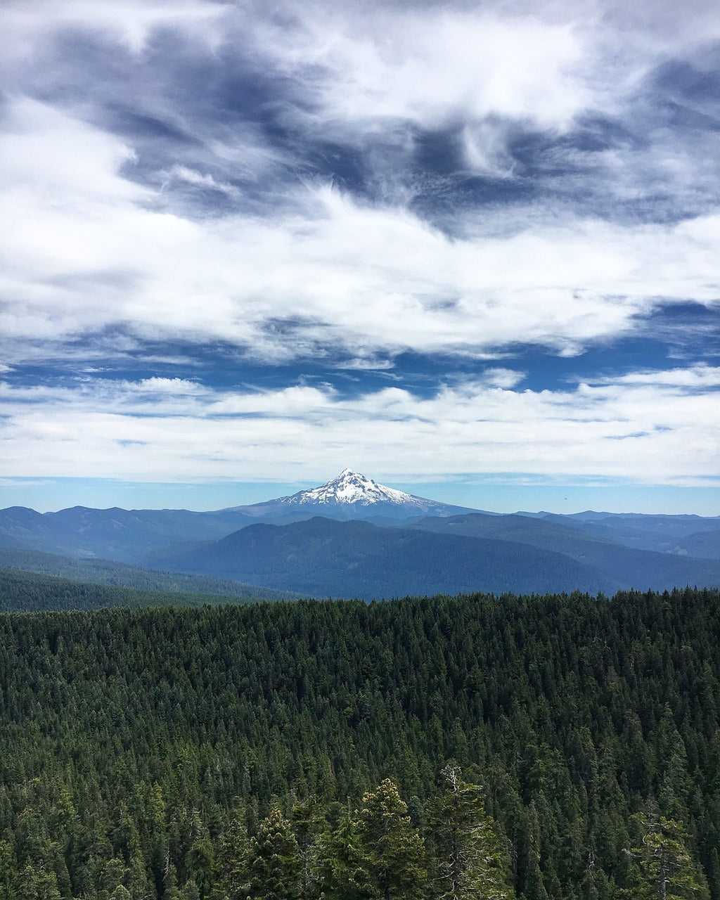 mountain, oregon, forest-1501078.jpg