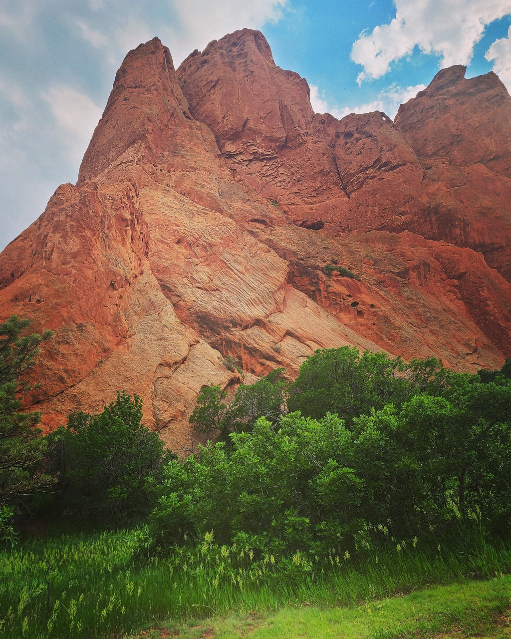 mountain, rocks, trees-6377114.jpg