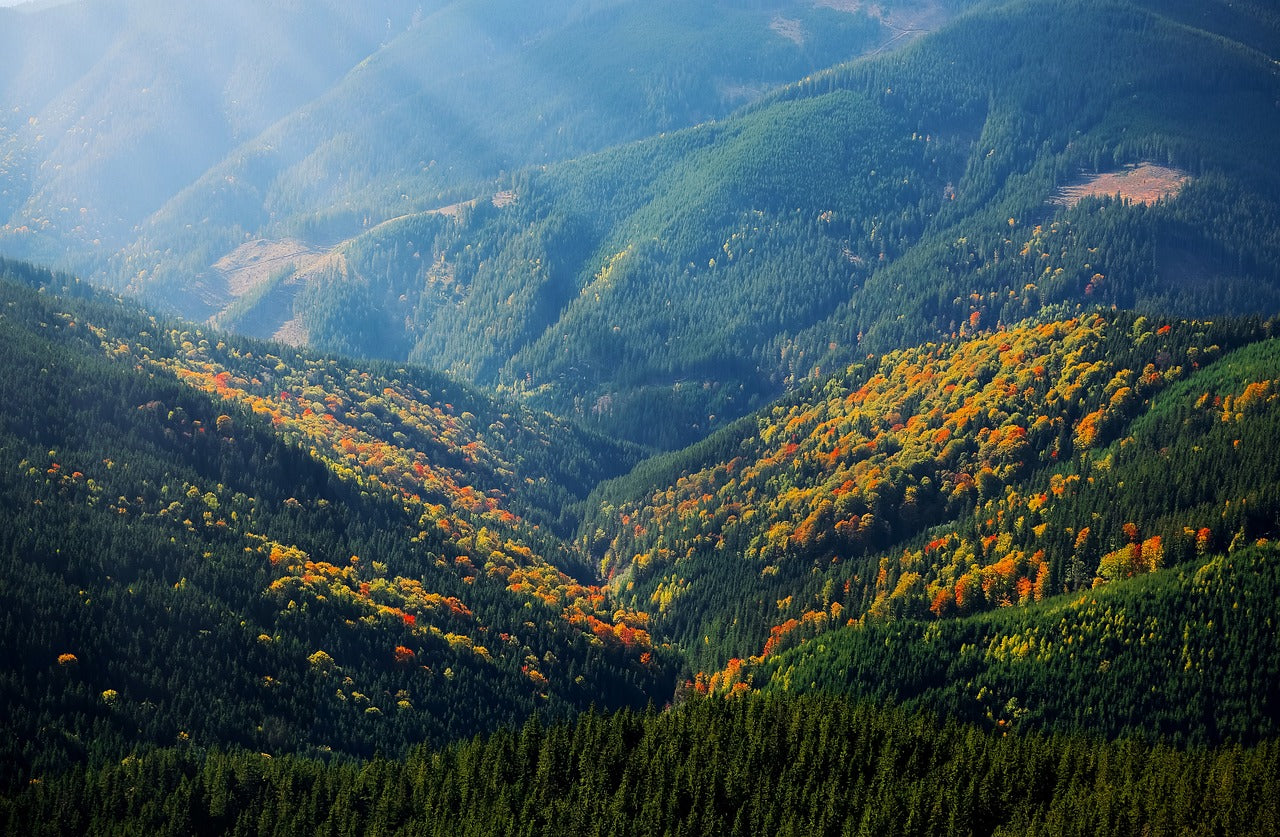 mountain, sunrays, hill-1345746.jpg