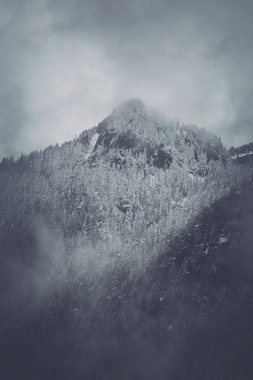 mountains, forest, winter-6361948.jpg