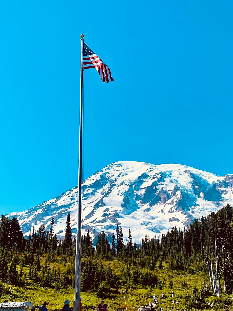mt rainier, mountain, winter-7408742.jpg