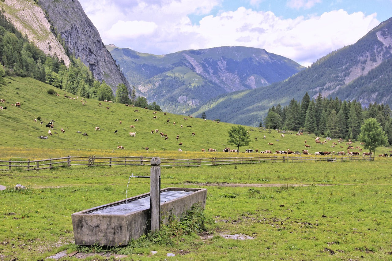 nature, mountain, landscape-3291073.jpg