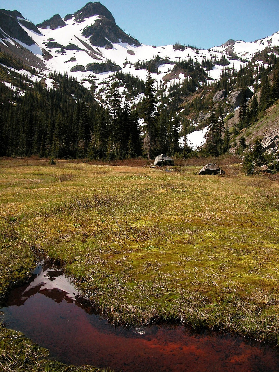 olympic national park, washington, landscape-80488.jpg