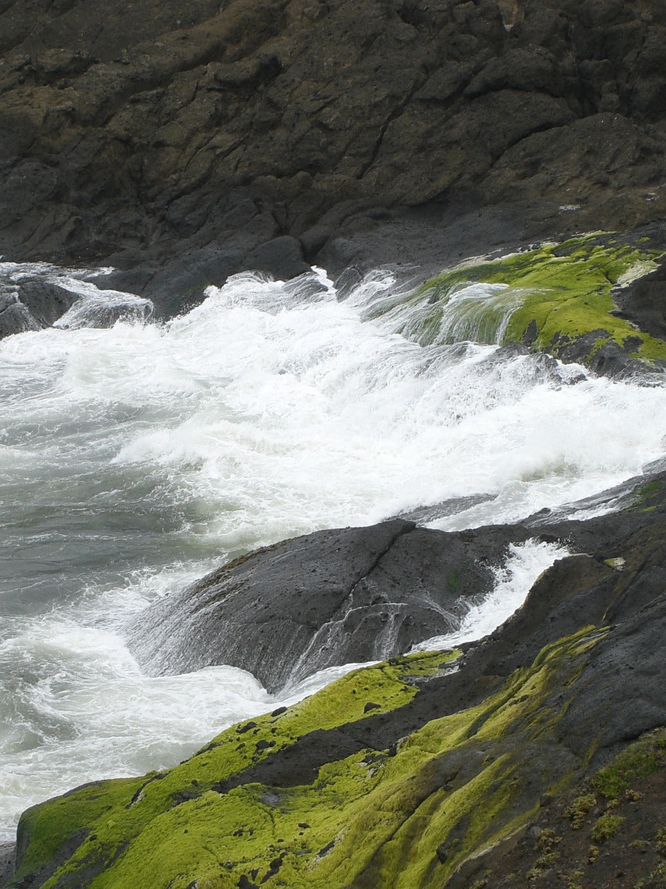 oregon coast, nature, pacific ocean-5142023.jpg