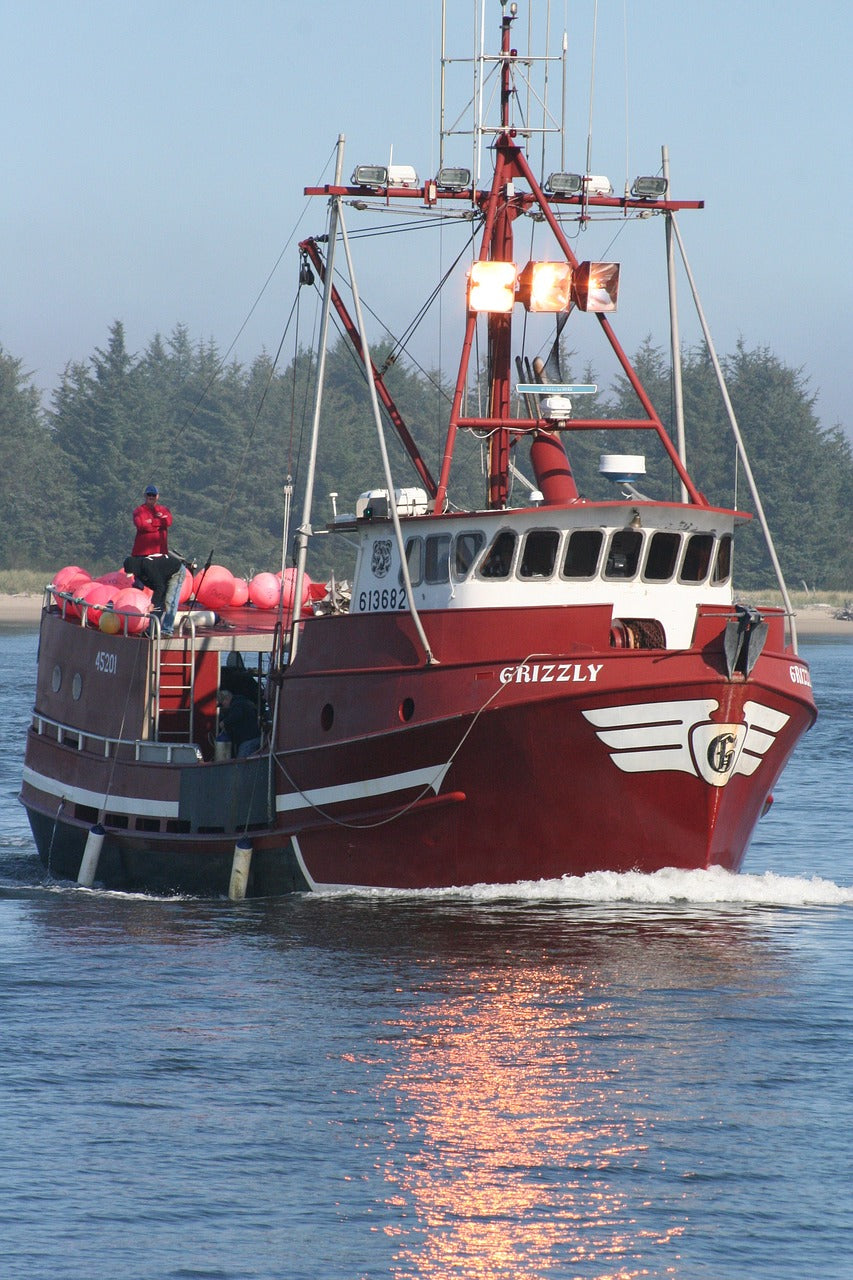 oregon, ocean, pacific-2775871.jpg