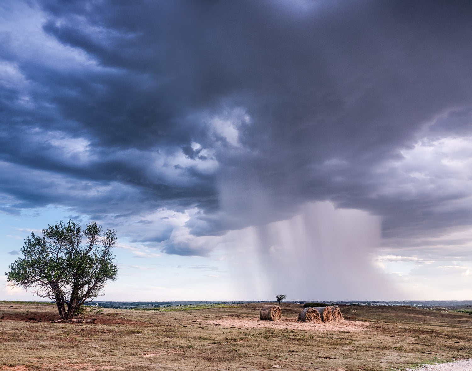 green tree under white clouds