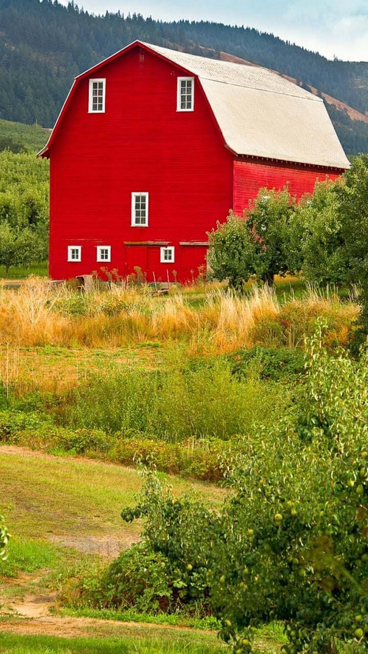 red, barn, oregon-2501024.jpg