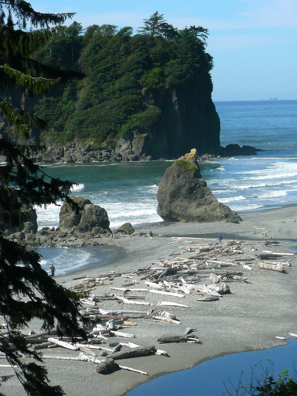 ruby beach, olympic national park, nature-53625.jpg