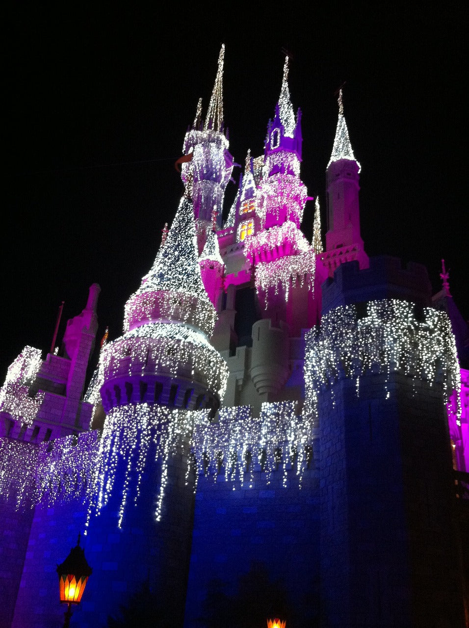 disney world, nature, cinderella's castle-226625.jpg