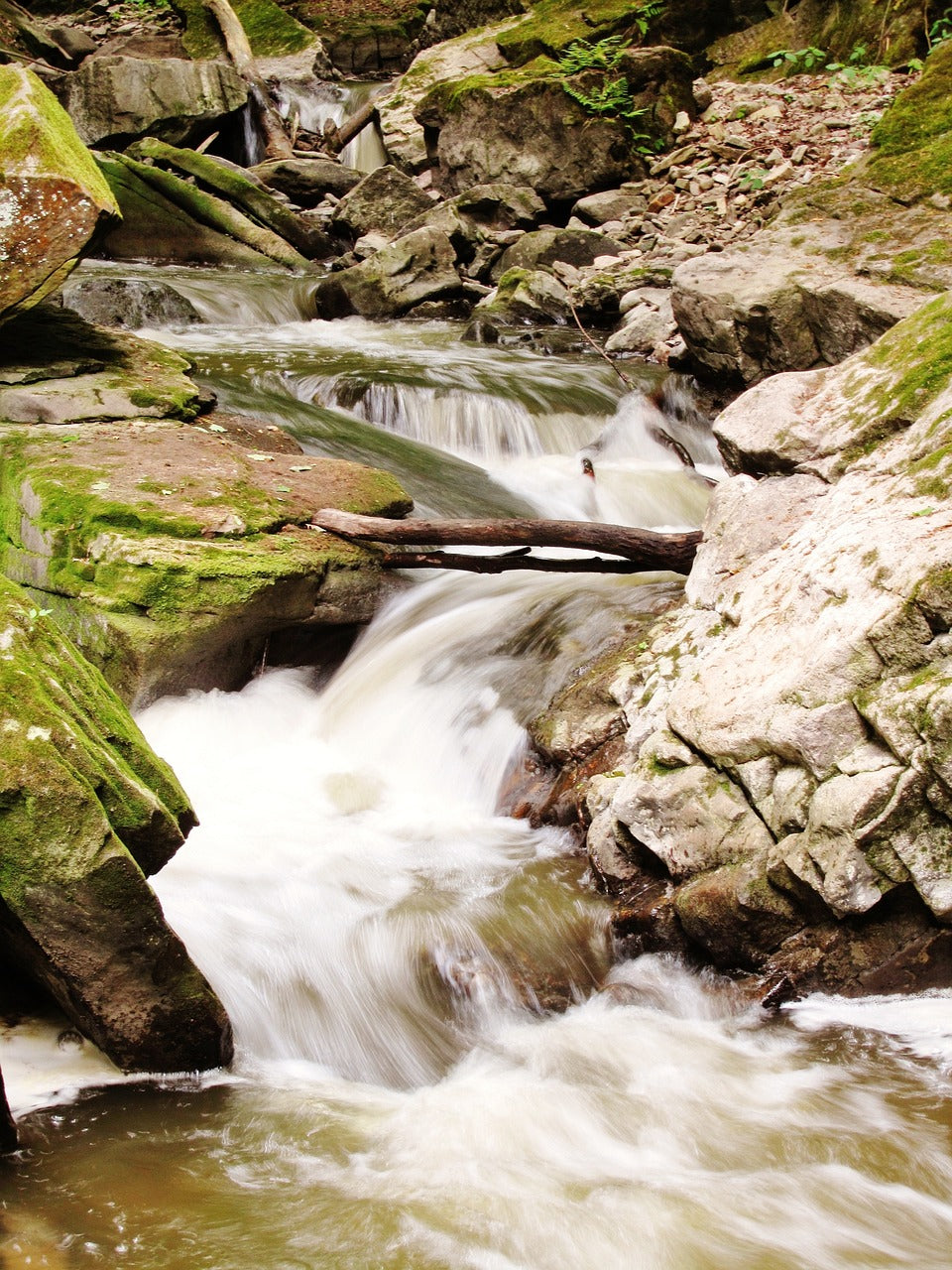 river, webster's falls, hamilton-724425.jpg