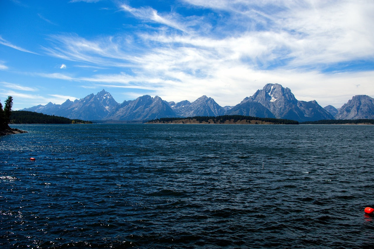 grand teton's lake jackson, lake, mountains-3842550.jpg