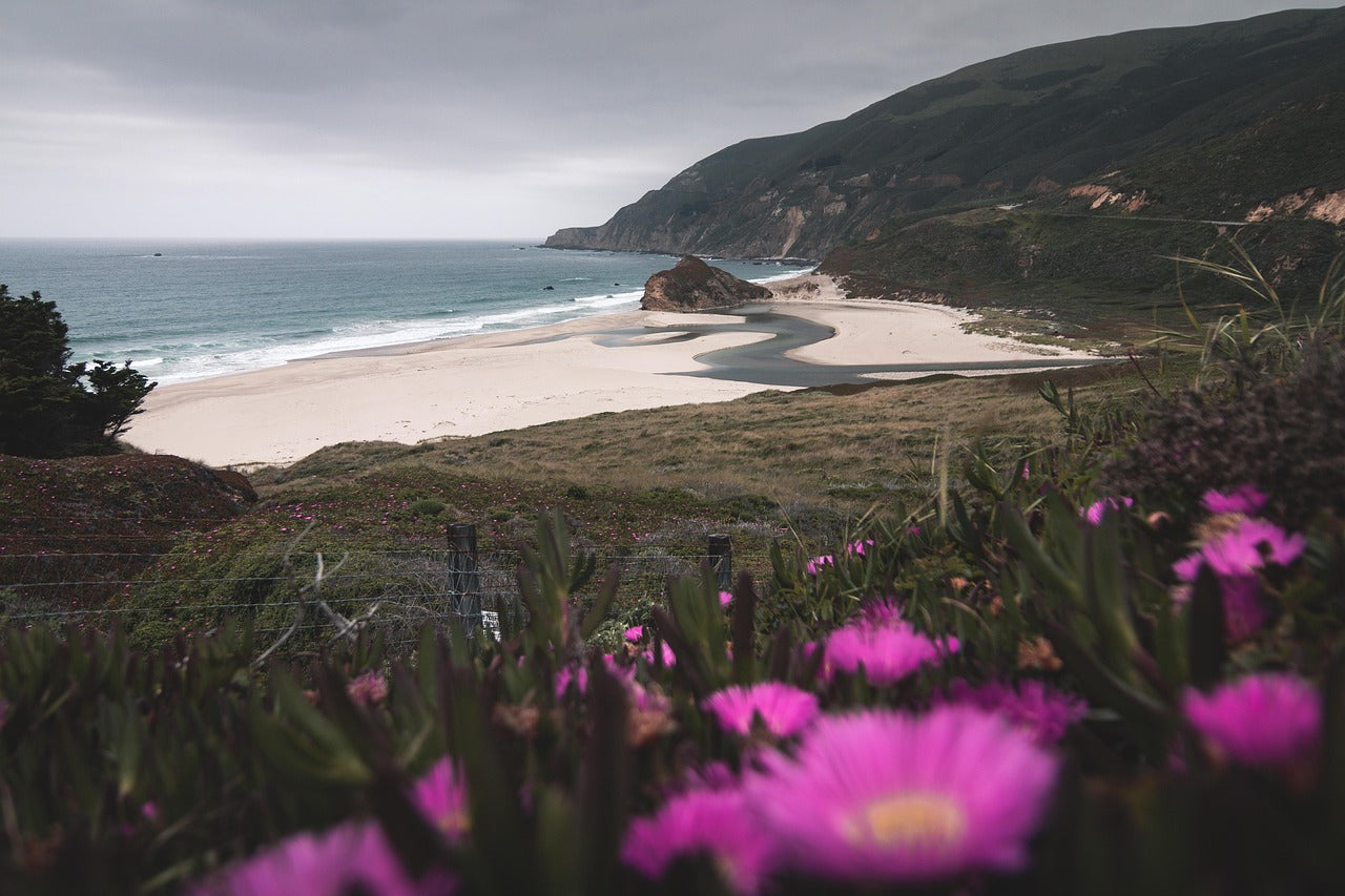 san francisco, california, beach-4271367.jpg